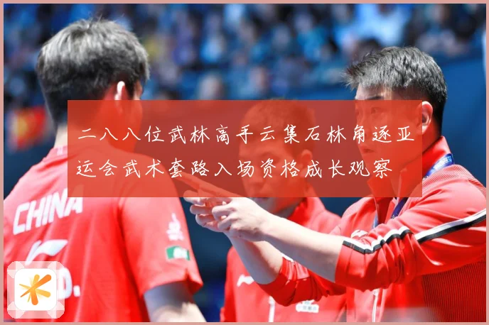 二八八位武林高手云集石林角逐亚运会武术套路入场资格成长观察