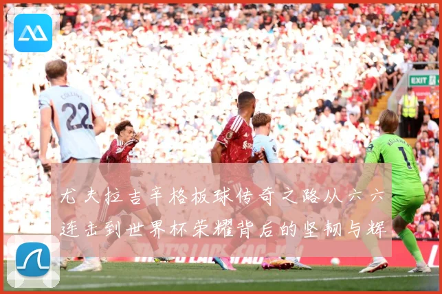 尤夫拉吉辛格板球传奇之路从六六连击到世界杯荣耀背后的坚韧与辉煌人生