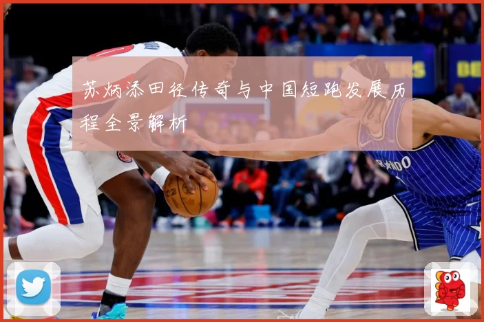 苏炳添田径传奇与中国短跑发展历程全景解析