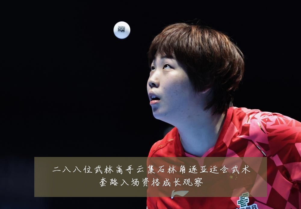 二八八位武林高手云集石林角逐亚运会武术套路入场资格成长观察